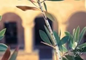 Otel San Francesco Heritage Alghero