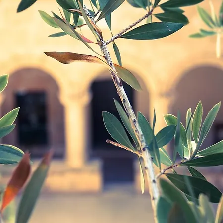 Hotell San Francesco Heritage